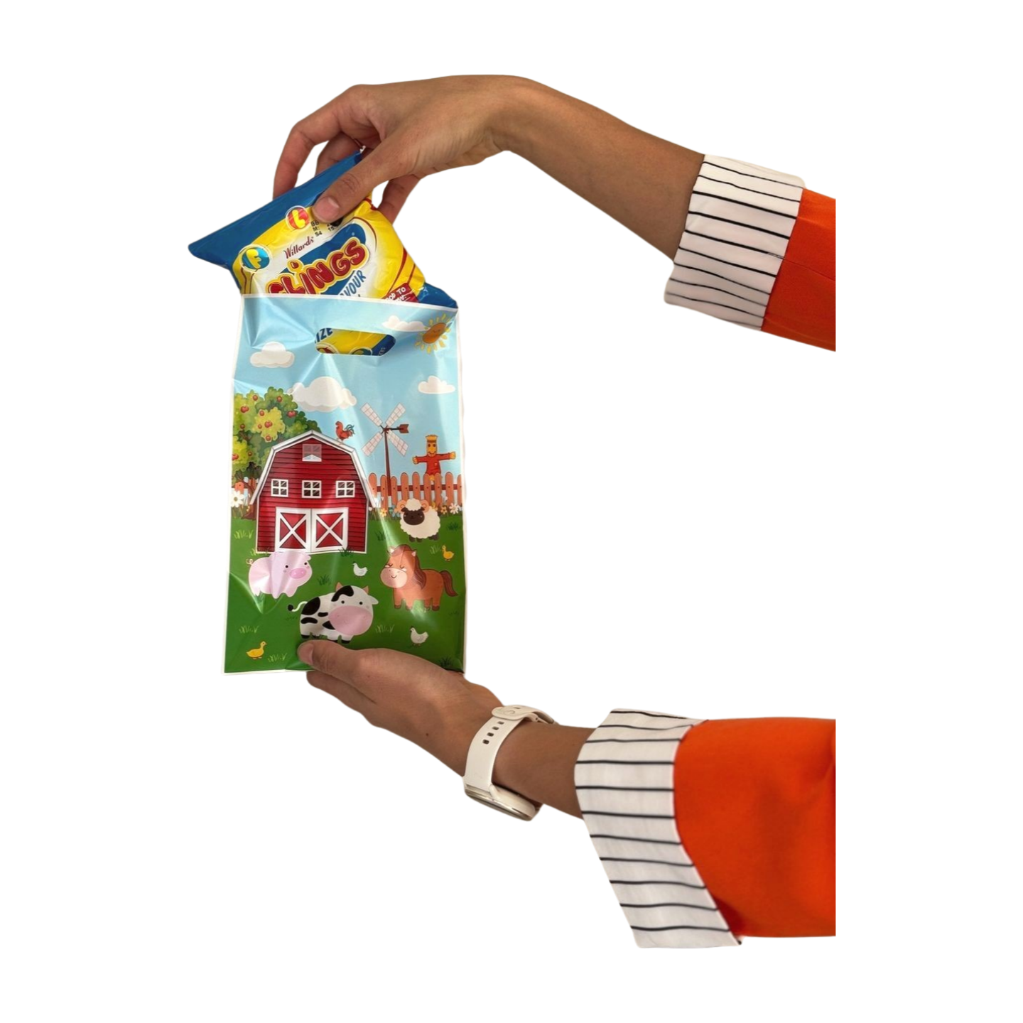 On the Farm Gift Bag (Boys)