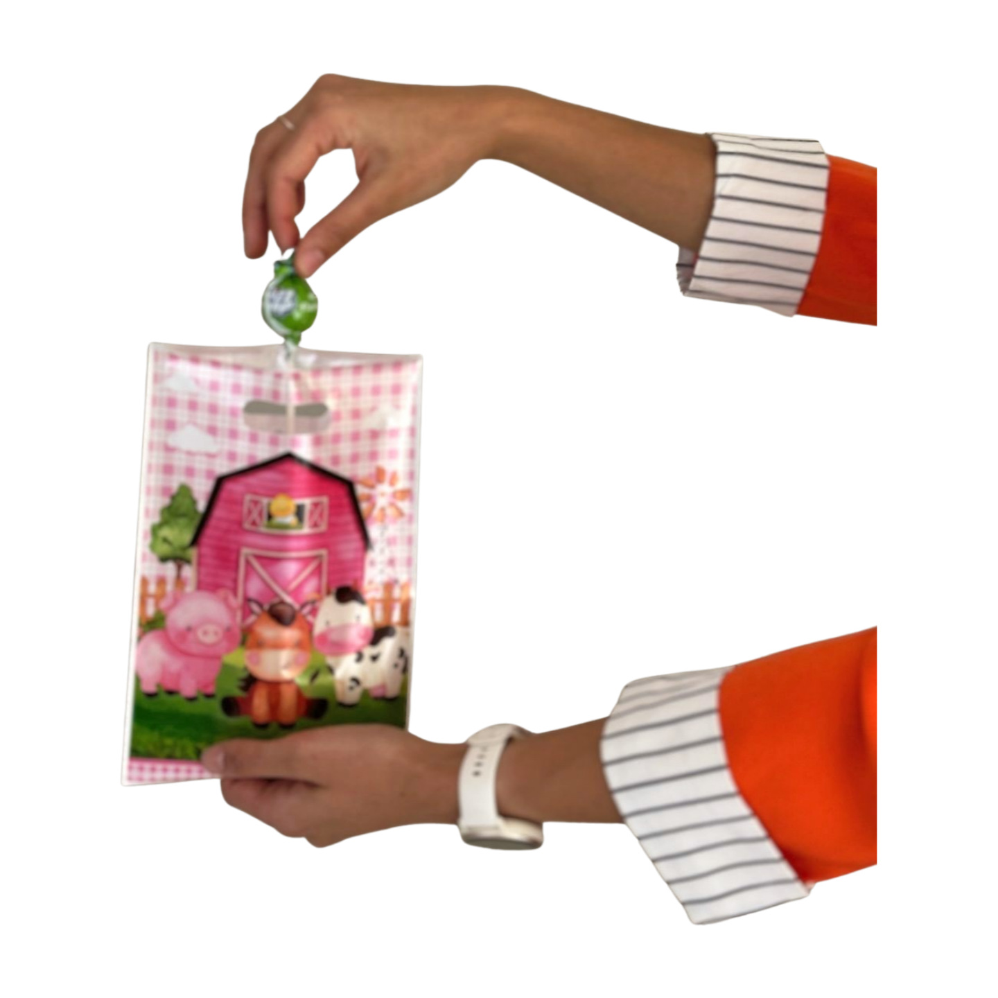 On the Farm Gift Bag (Girls)